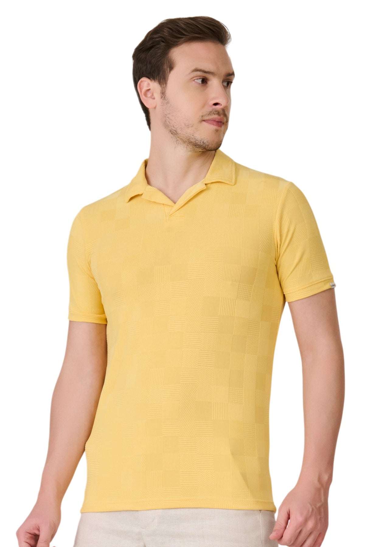 Buy Lemon Check Textured Polo Online Shopping view 2