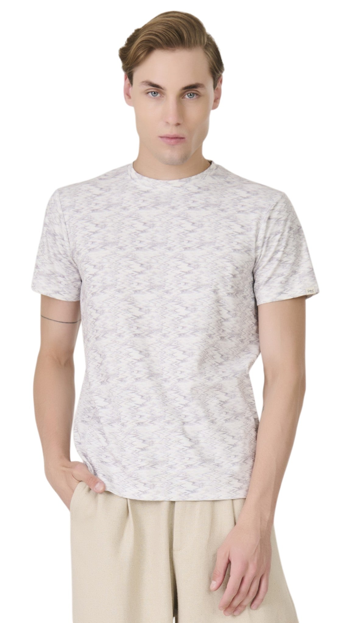 Buy Grey Zigzag Pattern T-Shirt Online Shopping view 1