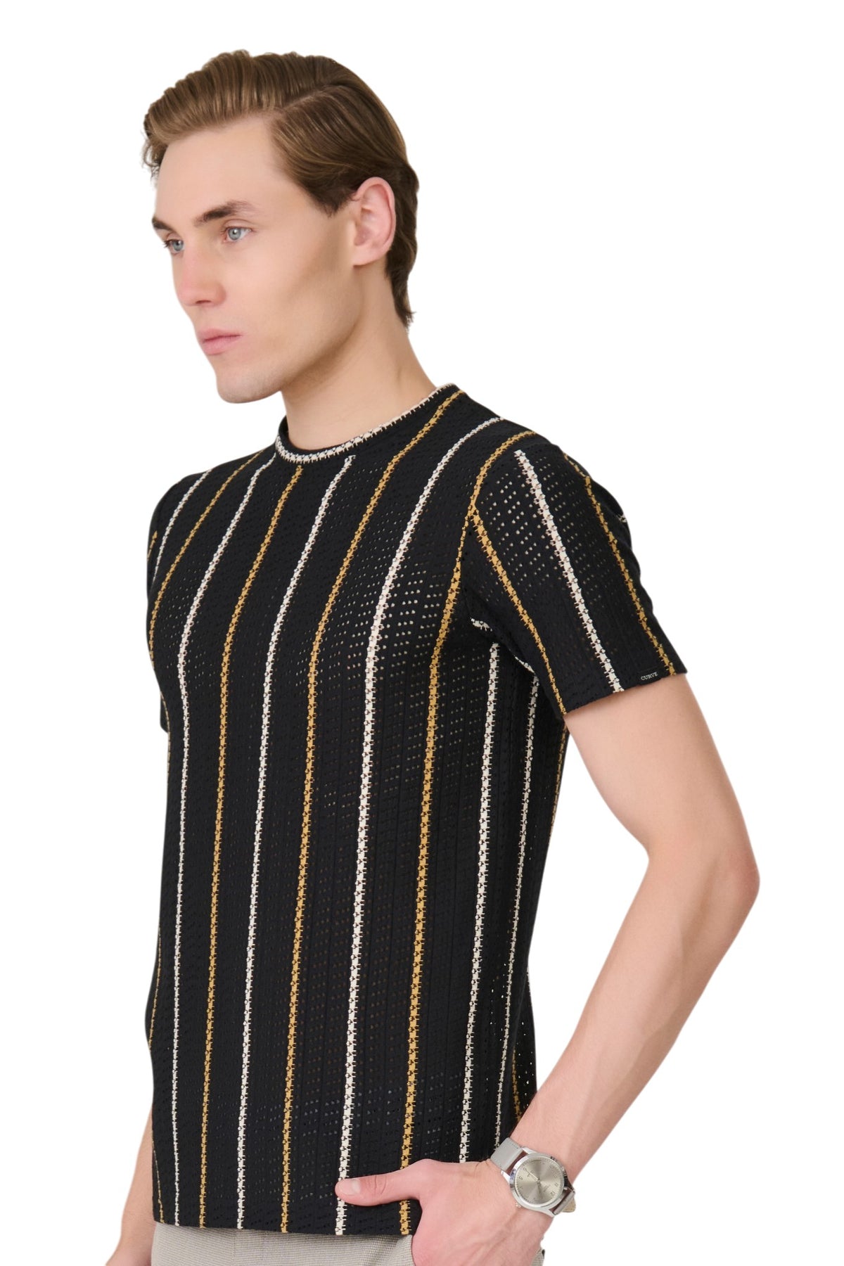 Buy Black Textured Stripe T-Shirt Online Shopping view 2