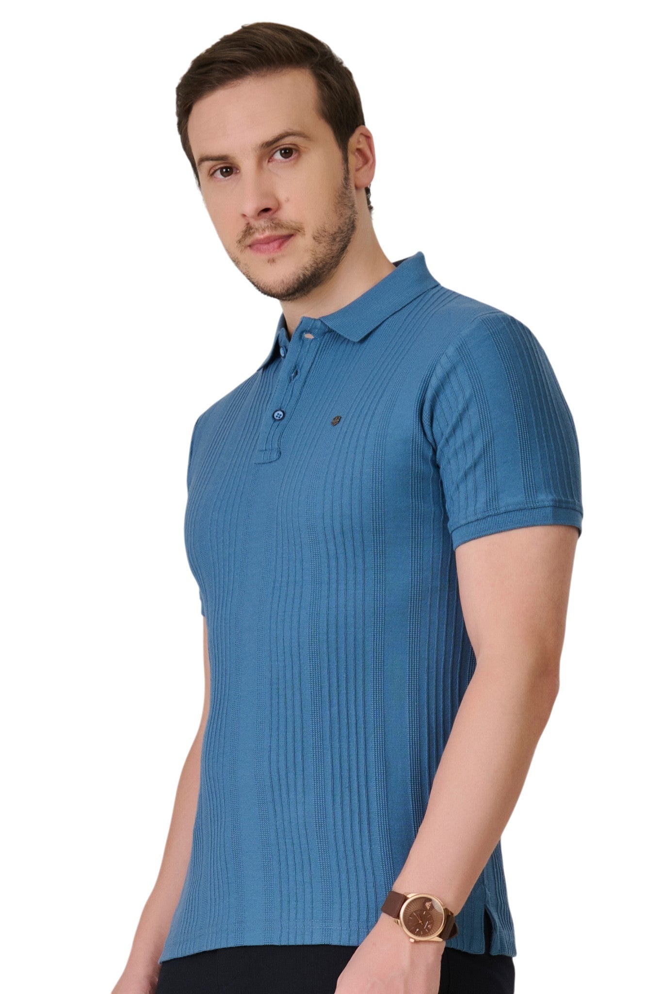 Buy Airforce Blue Textured Polo Online Shopping view 2