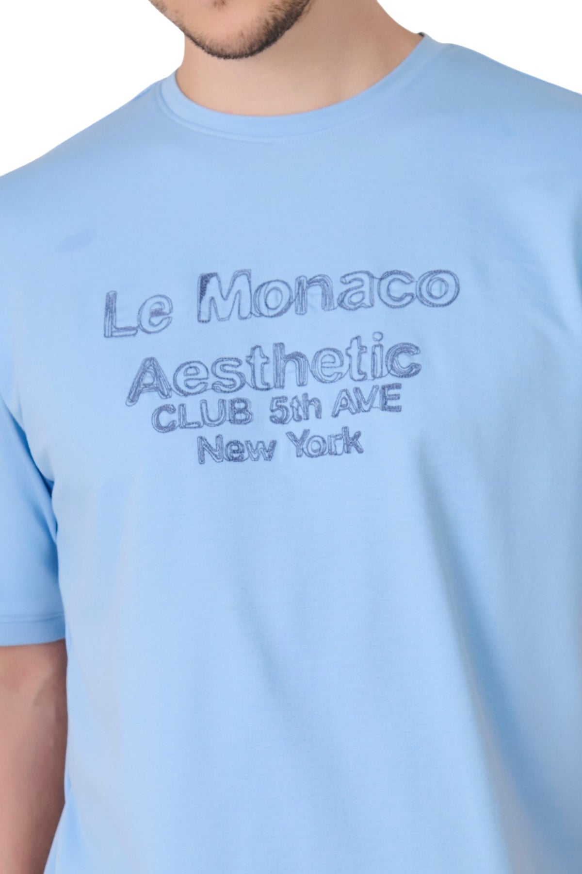 Buy Sky Blue Graphic T-Shirt Online Shopping view 2
