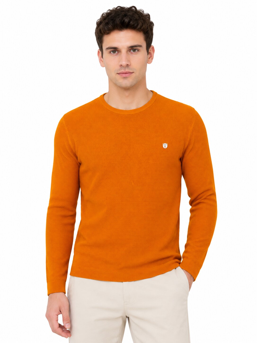 Buy Apricot Textured Full Sleeve T-Shirt Online Shopping view 1