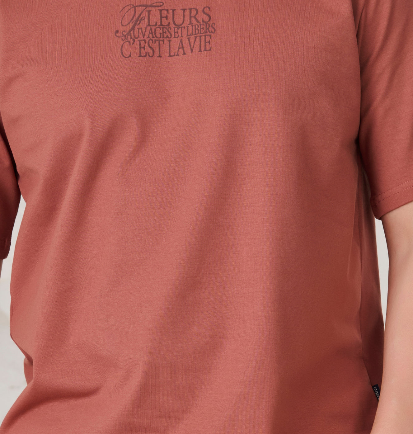 Paris Roses Graphic Oversized Stretch T-Shirt - Rust
