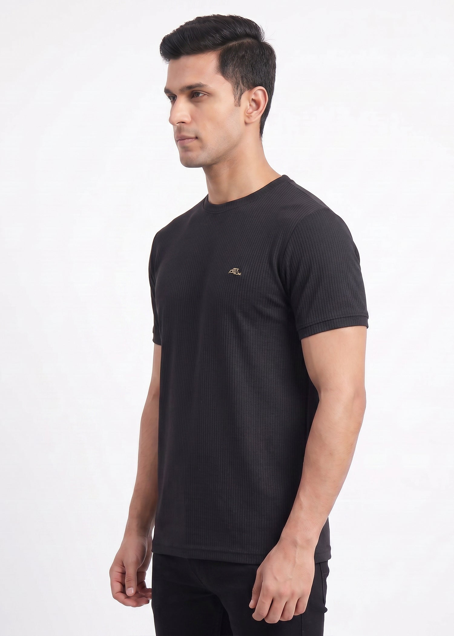 Buy Black-textured-solid-tshirt Online Shopping view 4
