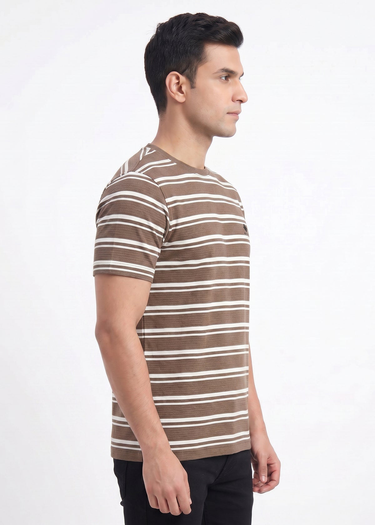 Buy Brown Classic Stripe T-Shirt Online Shopping view 5