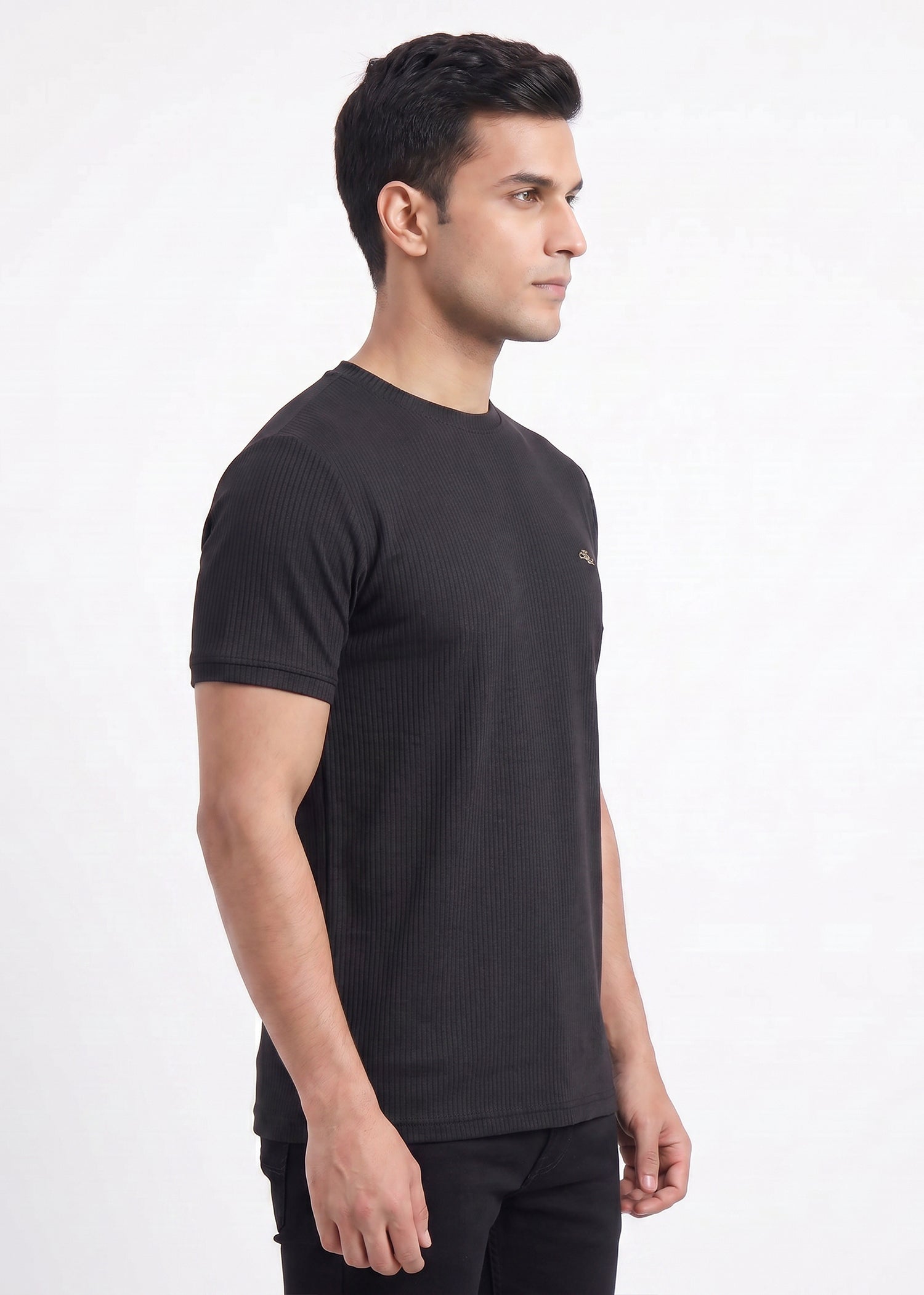 Buy Black-textured-solid-tshirt Online Shopping view 5
